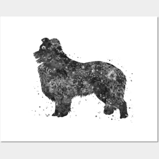 border collie dog black and white Posters and Art